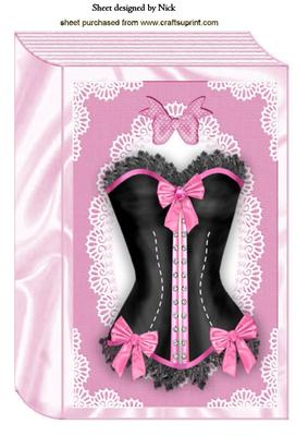 Beautiful Ladies Basque with Bows on Folded Book A4