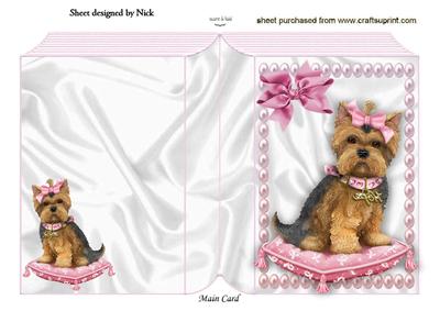 Little Yorkshire Terrier on a Cushion Folded Book