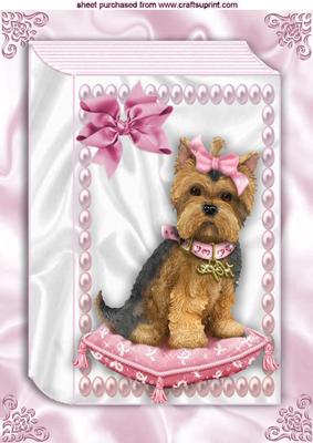 Yorkshire Terrier on a Cushion in Lace Frame Folded Book A4