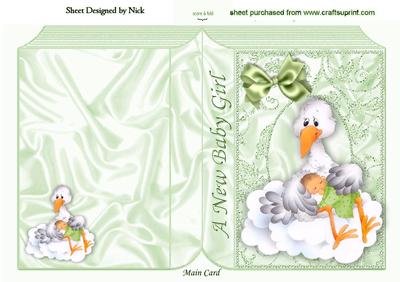Cute Little Baby Girl on Storks Lap Folded Book