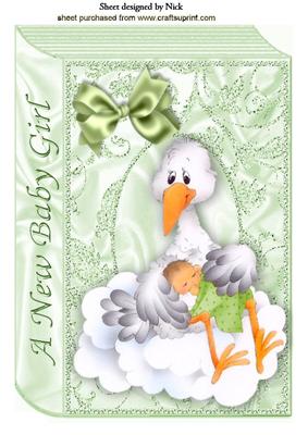 Cute Little Baby Girl on Storks Lap on Folded Book A4