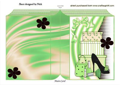 Ladies Shoe with Accessories in Funky Green Folded Book