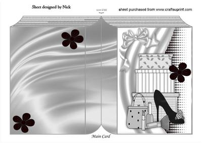 Ladies Shoe and Accessories in Funky Silver Folded Book