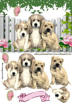 The Three Wise Pooches, See No Evil, Hear No Evil, Speak