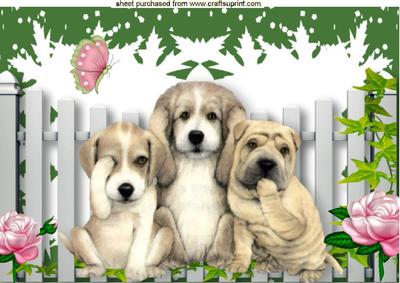 Three Wise Pooches, See No Evil, Hear No Evil Speak No Evil