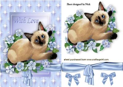 Siamese Cat with Flowers and Bows in Star Frame