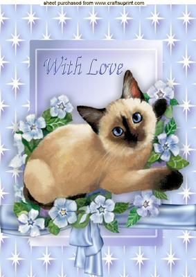Siamese Cat with Flowers in Star Frame with Bow A4