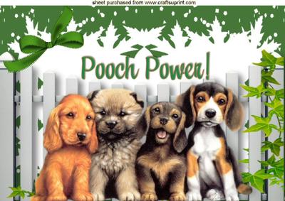 Pooch Power, Cute Little Dogs A4