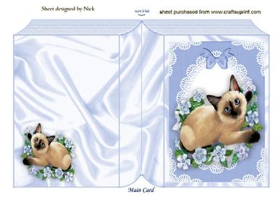 Siamese Cat with Flowers in Lace Frame Folded Book