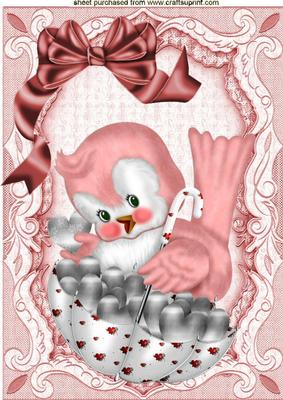 Pink Chick with Umberella in Floral Frame A4
