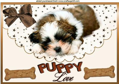 Puppy Love , Sleeping Puppy, on a Scalloped Envelope A4