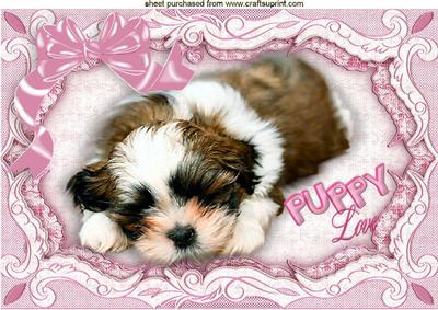Puppy Love with a Big Pink Bow, A4