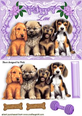 Cute Puppies with Puppy Love, in a Frame