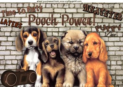 Who Says We Don't Have Fun Too! Dog Power A4