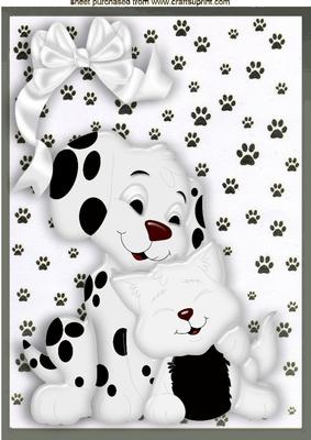 Cute Little Kitten with Puppy A4