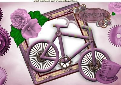 Ladies Pink Steampunk Bike with Roses and Hat A4