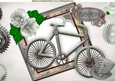 Ladies Silver Steampunk Bike with Roses A4