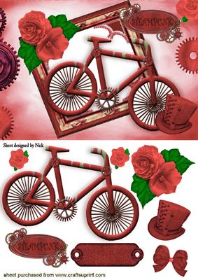 Ladies Red Bike with Hat and Rose in Steampunk Frame