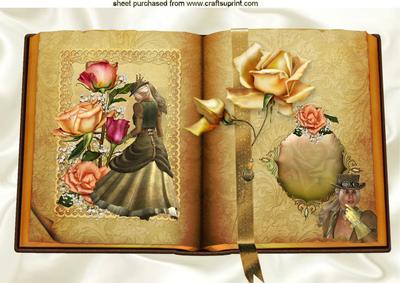 Steampunk Lady with Peach and Gold Roses Open Book A4