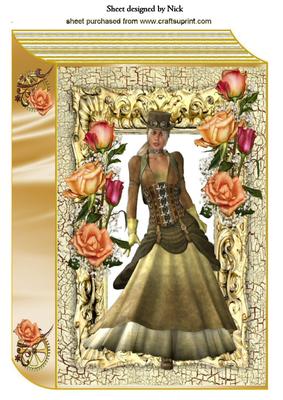 Steampunk Lady with Peach Roses in Frame Book A4