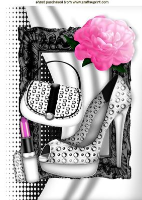 Pink Rose for a Lady and Lippy with Shoes A4