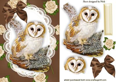 Gorgeous Owl on a Branch, on Lace Frame with Cream Roses