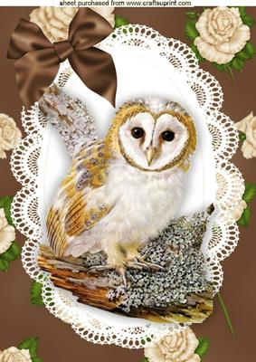 Gorgeous Owl on a Branch on Lace Frame A4