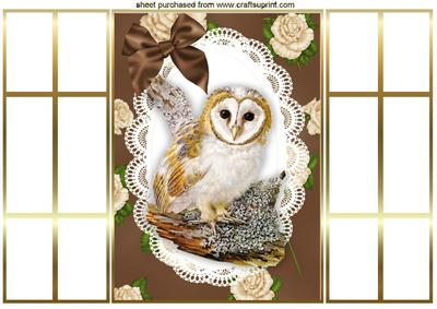 Gorgeous Owl on Branch with Cream Roses French Gatefold
