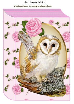 Cute Owl on a Branch with Pink Roses, A4 Book