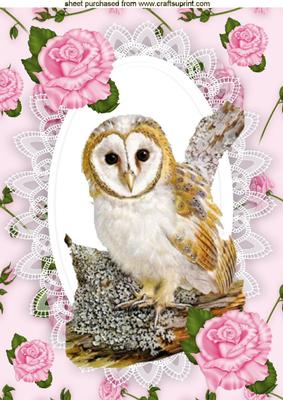 Cute Owl on a Branch with Pink Roses on Lace A4