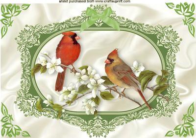 Pretty Birds with Blossoms in Ornate Frame A4