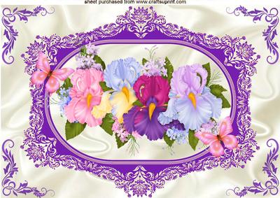 Pretty Coloured Iris's with Butterflies A4