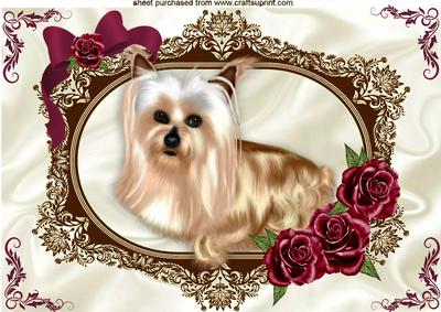 Pretty Yorkshire Terrier in Ornate Frame with Red Roses A4