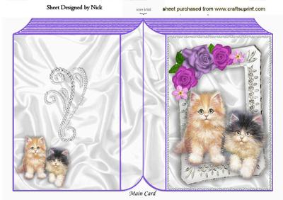 Cute Little Kittens in Silver Frame Folded Book