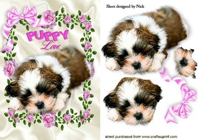 Puppy Love! Cute Little Puppy in Rose Frame