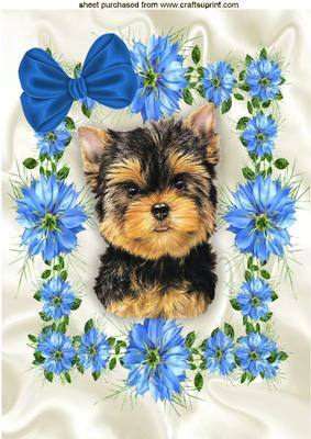 Little Yorkshire Terrier in Frame of Pretty Blue Flowers A4