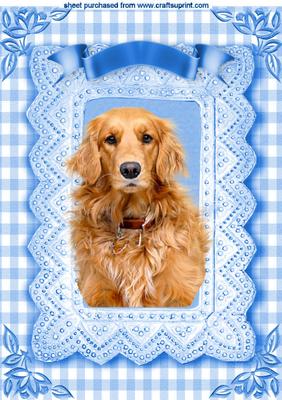 Golden Retriever in Blue Gingham Frame A4