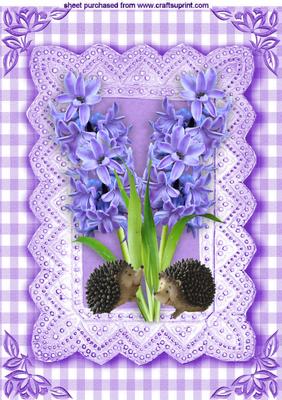 Bluebells with Little Hedgehogs in Gingham Frame A4