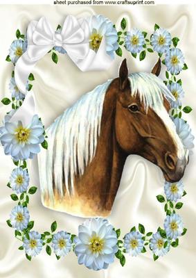 Beautiful Horse in White Flower Frame with Bow A4