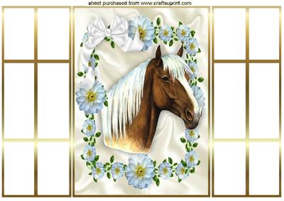 Beautiful Horse in White Flower Frame French Gatefold