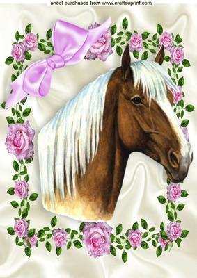 Beautiful Horse in Pink Rose Frame A4