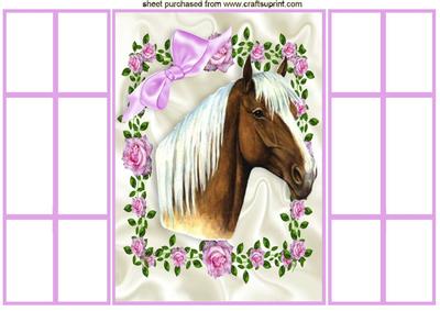 Beautiful Horse in Pink Roses Frame, Pink French Gatefold