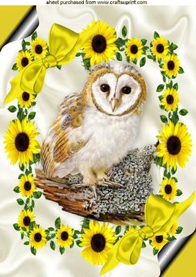 Owl in a Pretty Frame of Sunflowers with Bows A4