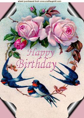 Pretty Birds with Pink Roses in a Frame A4