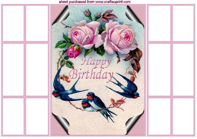Pink Roses with Blue Birds in a Frame French Gatefold