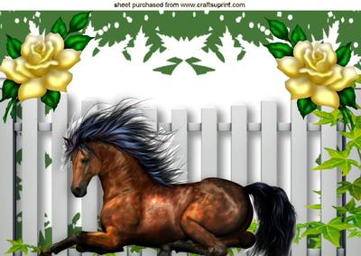 Wild Horse, with Yellow Roses A4
