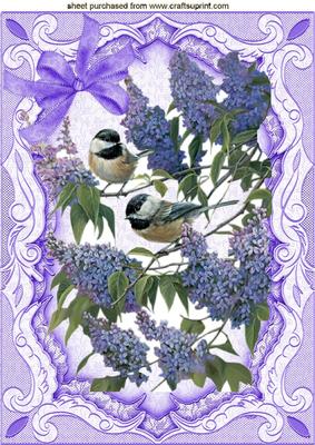 Blue Birds and Flowers, in Ornate Frame A4