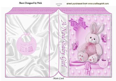 Pink Bunny with Butterflies for a Baby Girl Folded Book