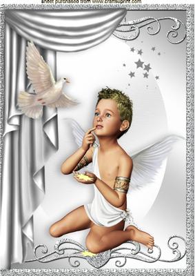 Angelic Boy Angel with Dove A4