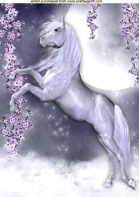Beautiful White Horse with Twilight Scene A4